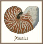 (image for) Shell Nautilus